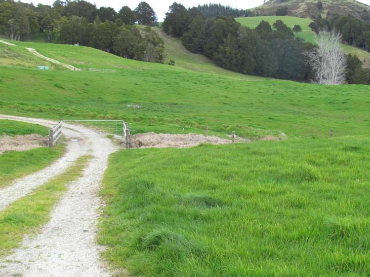 Tremain Road Ruatangata West_11