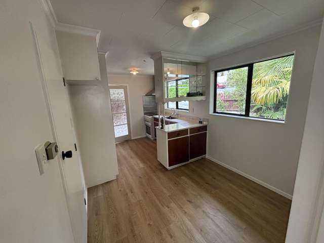 1/33 Van Diemen Street Nelson South_1