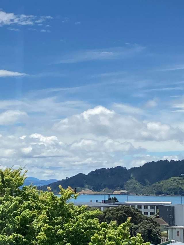 26 Childers Terrace Kilbirnie_2