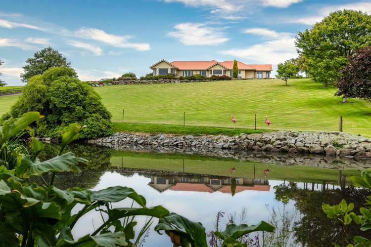 3532 Waimate Highway Morven_23