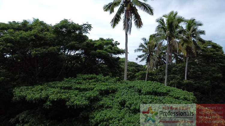 Address withheld Taveuni_6