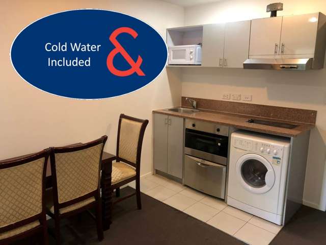 3I/113 Vincent Street City Centre_4