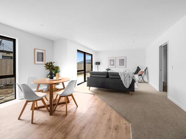 17 Vercoe Street Ashburton_4