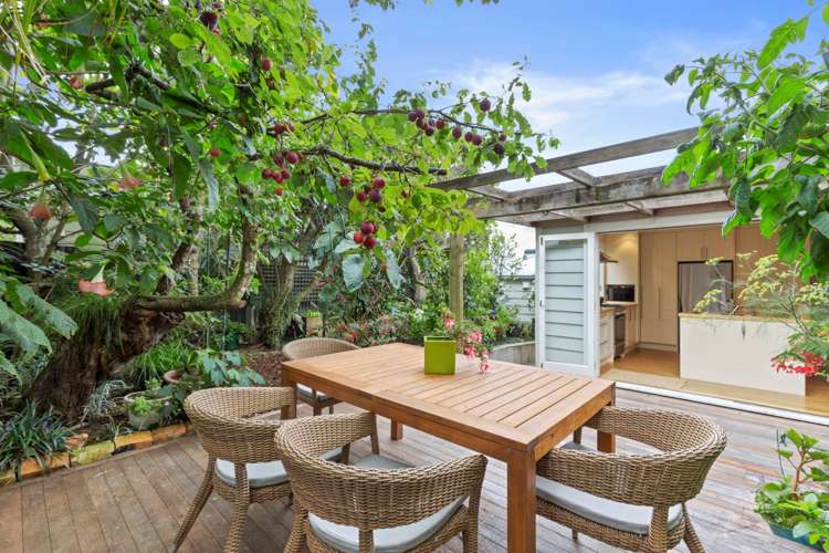 42 Mozeley Avenue Devonport_8