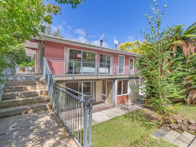 18 Macarthur Street Levin_1