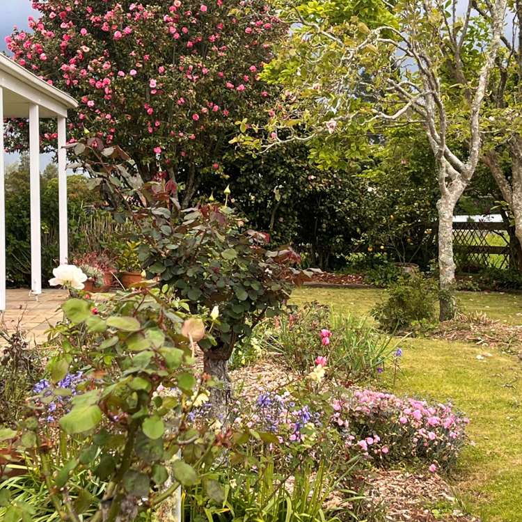 69 Appleby Road Drury_21