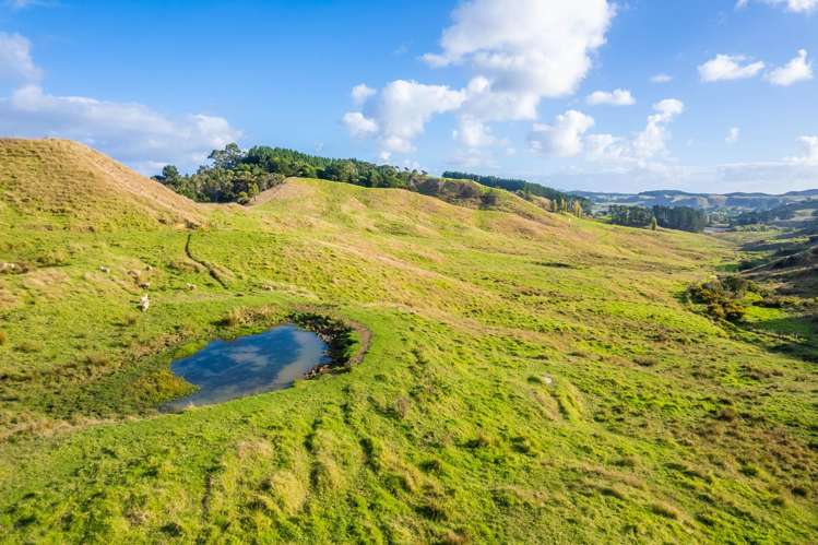 Kawhia Road (SH 31) Kawhia_6