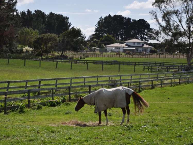 260 Waitohi Road Rongotea_10