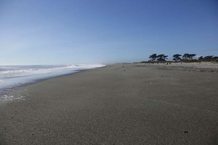 44 Tasman Way Ross_3