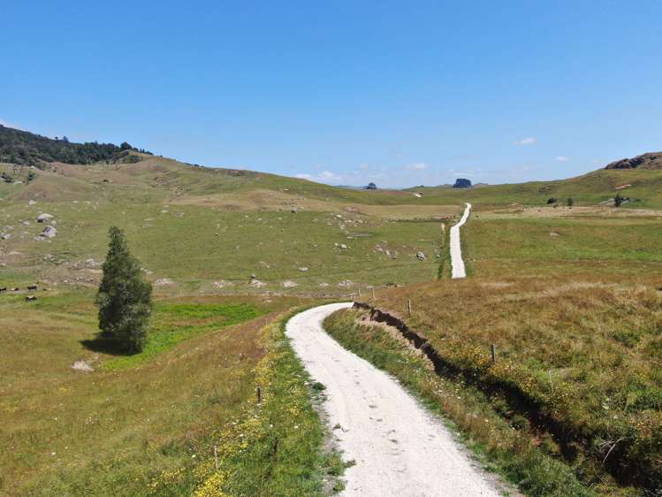 Kahuwera Road Piopio_7