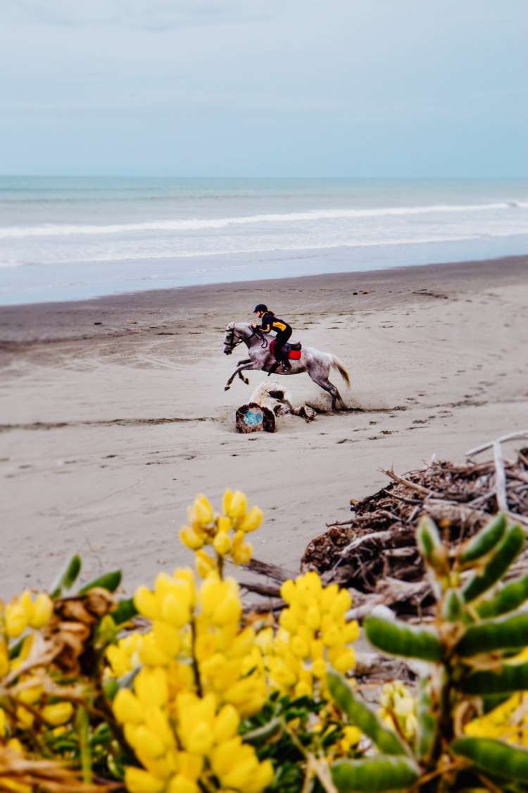 6 Paetawa Road Peka Peka_37