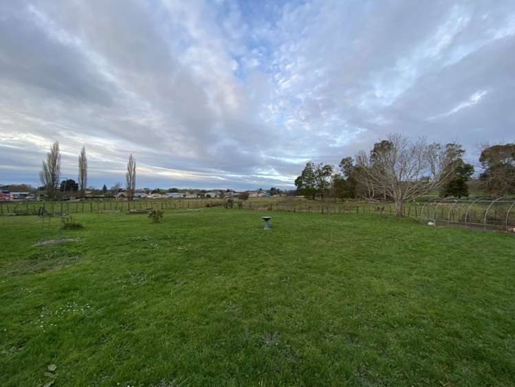 77 Moa Street Piopio_9