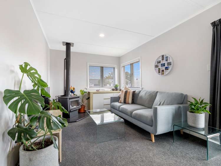 47 Mamaku Street Mamaku_1