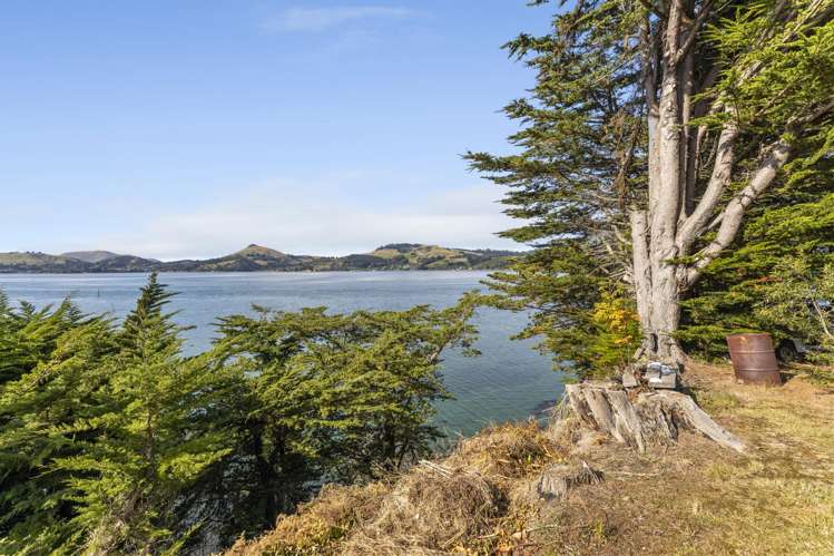 20 Clyde Street Roseneath_41