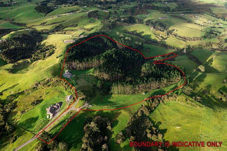 132b Dormer Road Waitoki_23