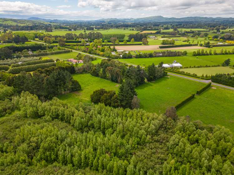 191 Upper Manaia Road Upper Plain_30