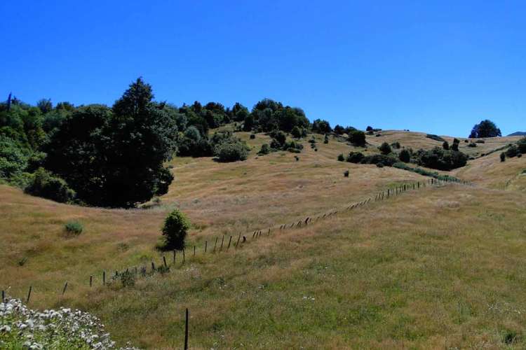 135 Canaan Road Kahurangi National Park_11