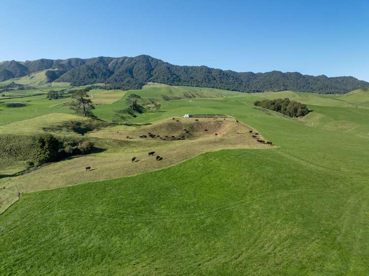 134 Old Te Aroha Road Te Poi_15