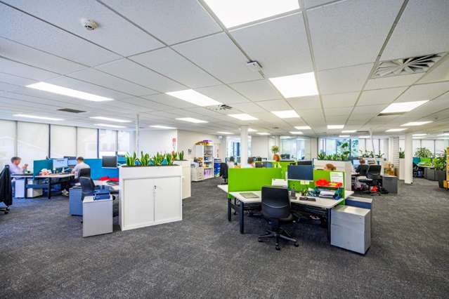 264 Mount Eden Road Mt Eden_4