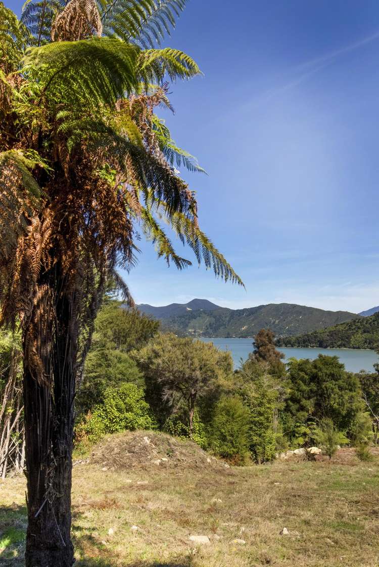 Lot 42 Kaiuma Bay Road Kaiuma Bay_23