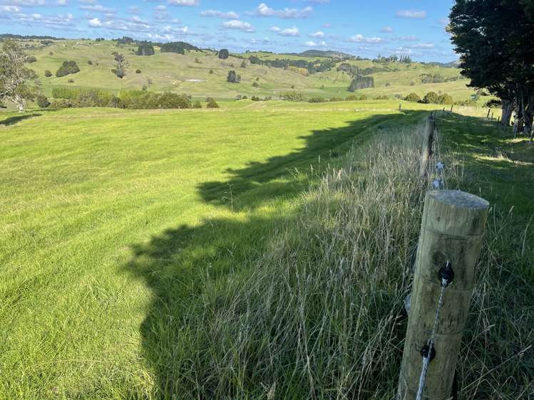 203 Otuhi Road Mangapai and Surrounds_13