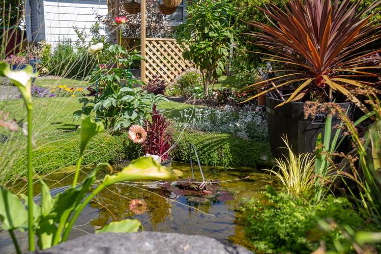 43 Fergusson Street Solway_5