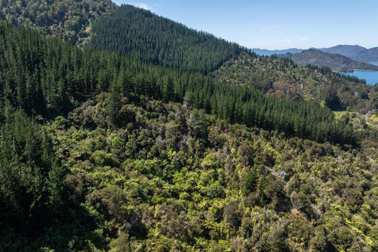 Double Bay, Reatihi Marlborough Sounds_2