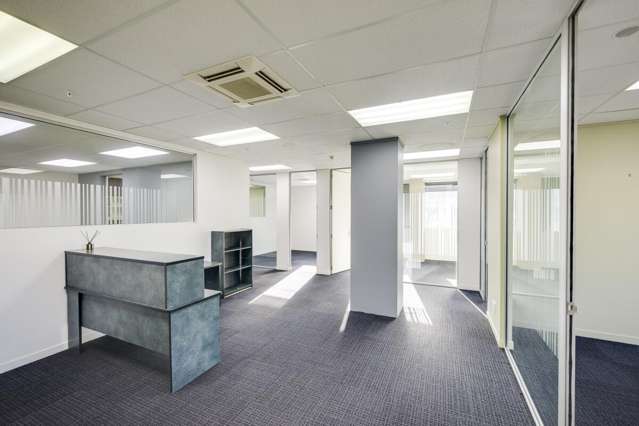 105b Raffles Street Napier South_1