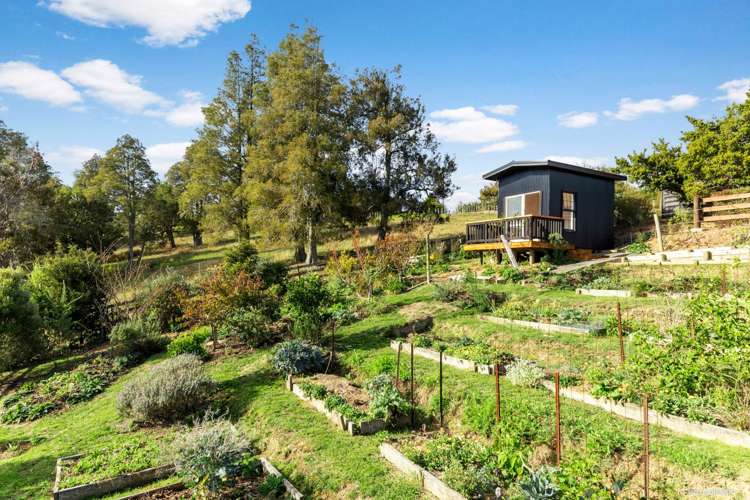 58 Otto Road Ramarama_14