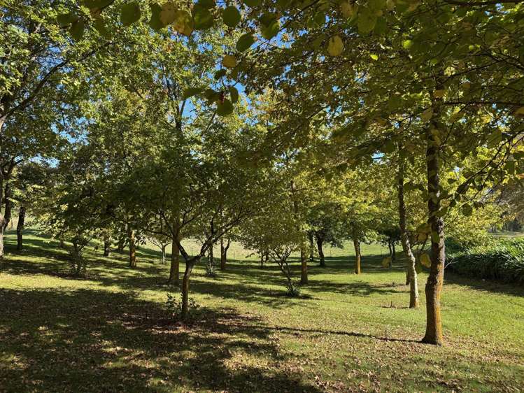 Tuki Tuki Road Haumoana_7