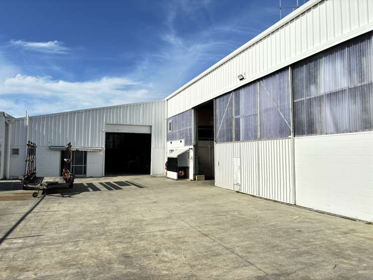 66 Birch Avenue Judea_9