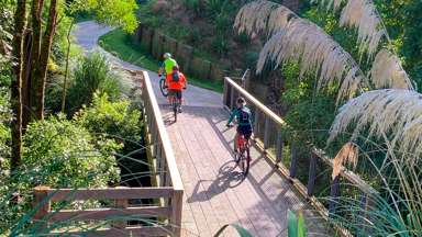 Lot 29 Whakahaumako Road_4