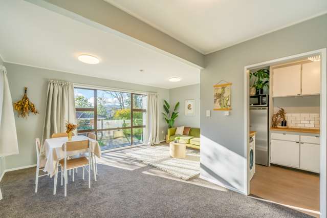 33b Cleary Street Waterloo_4