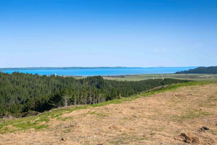 Lot 5,/220 Tuhirangi Road Makarau_7