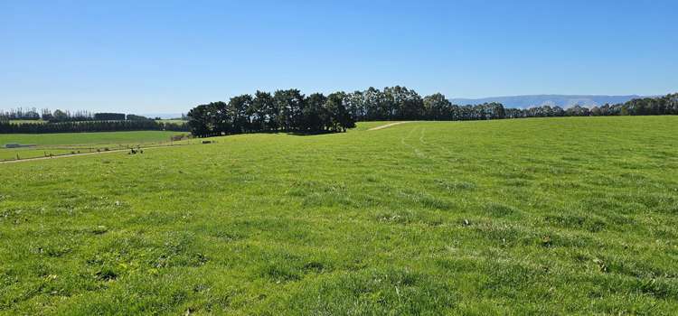 465 Adam Fleming Road Crossans Corner_13