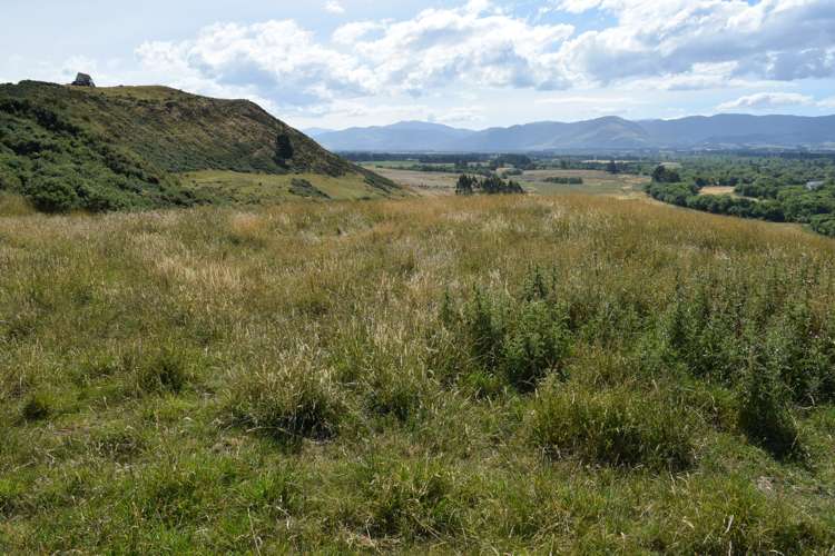 167 Campions Road Cust_6