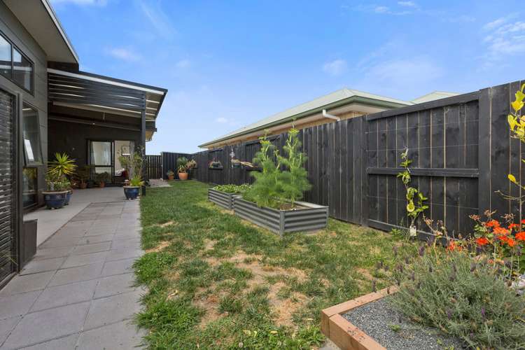 29 Ponga Place Papamoa_13