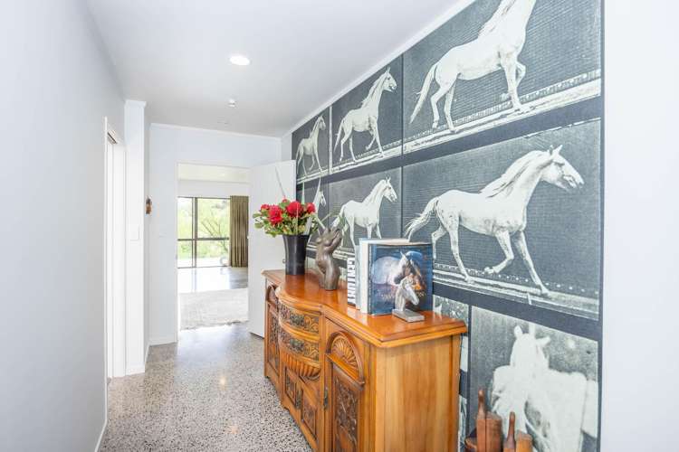140H Tebbutt Road Lower Kaimai_8
