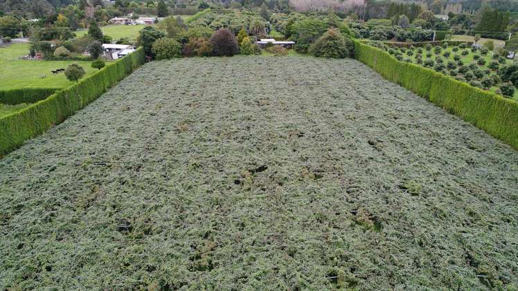 11 Edward Avenue Pyes Pa_21