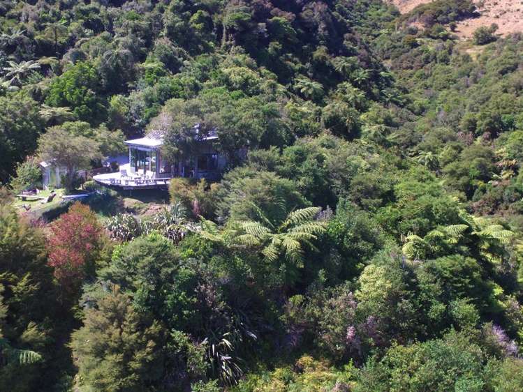 345 Bird Road Kahurangi National Park_13