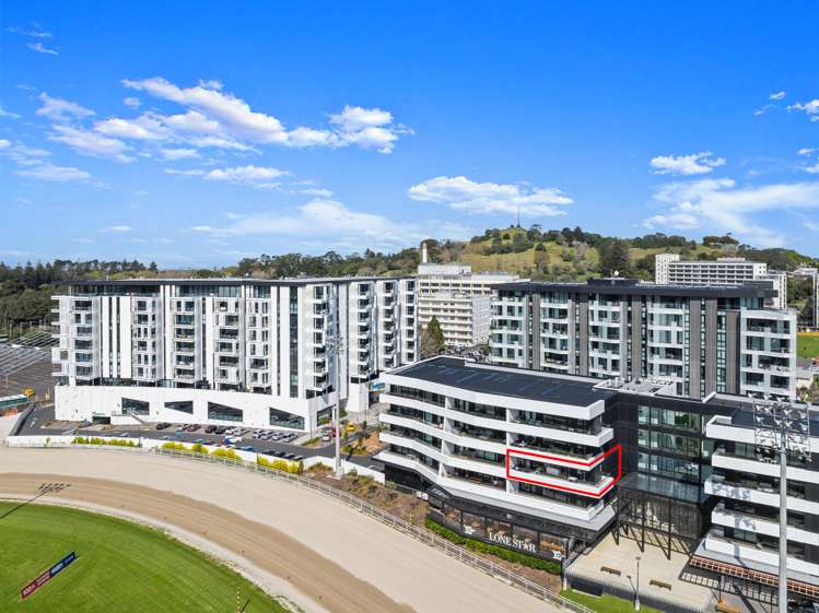 206/223D Greenlane West Epsom_20