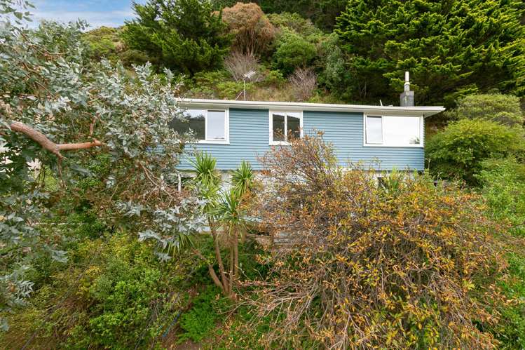 161b Happy Valley Road Owhiro Bay_21