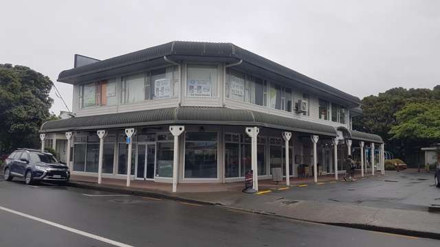 2/3 Britannia Street Petone_1