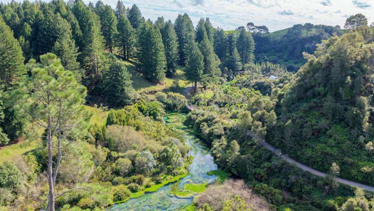 Leslie Road Putaruru_3