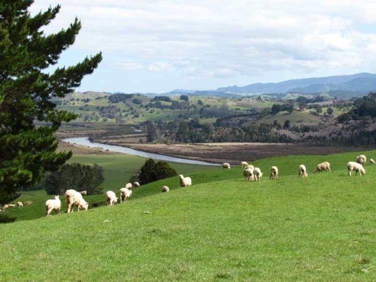 201 Rangiahua Road Horeke_12