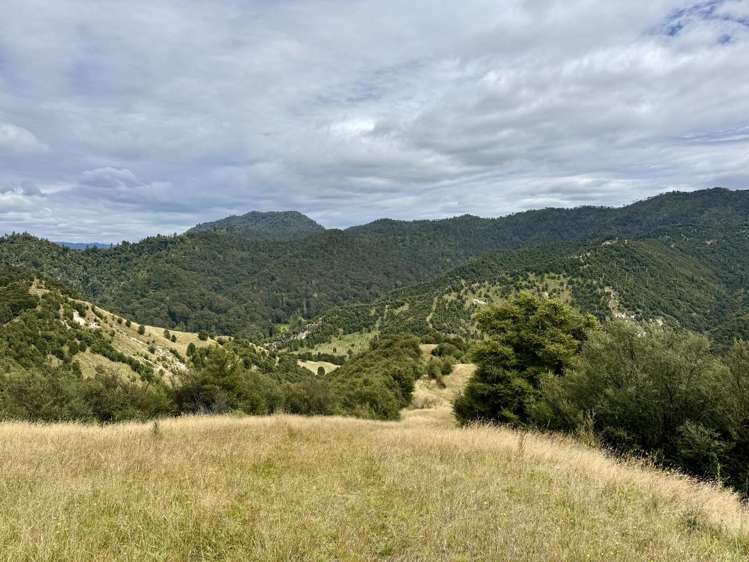 Rakutangi Road Ruatiti_16