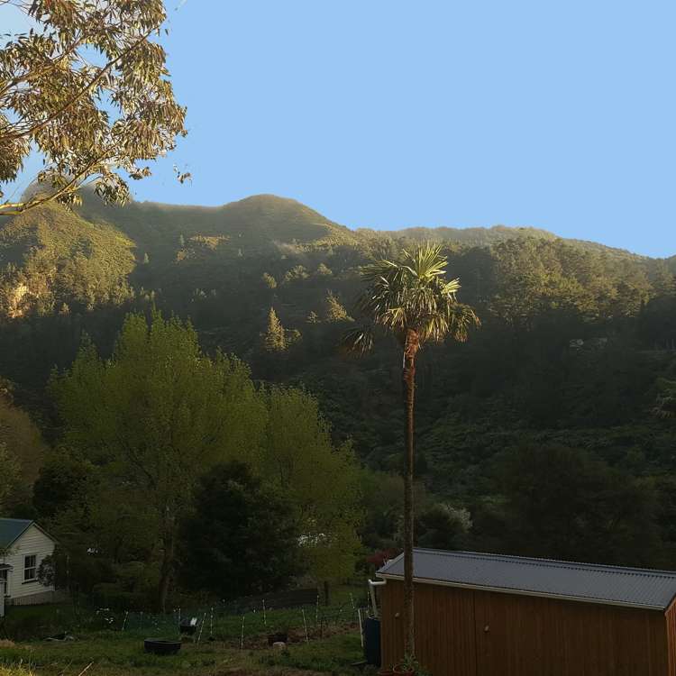 23a Moresby Street Karangahake_6