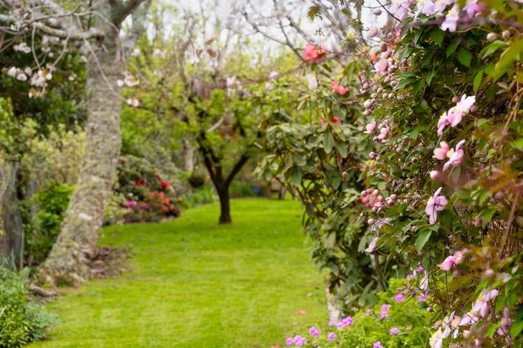 249 Te Moana Road Waikanae_20