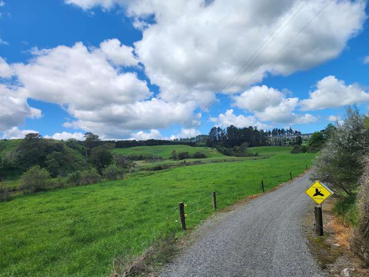 241 Work Road Aongatete_8