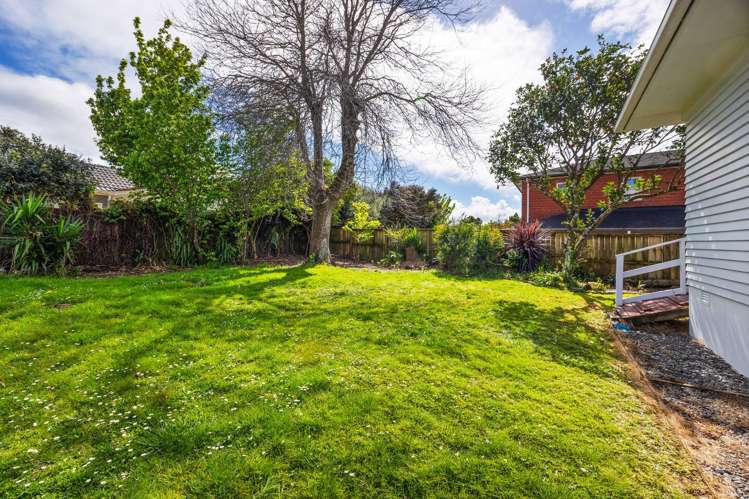 13 Booralee Avenue Botany Downs_21